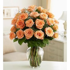 Three dozen Orange Holland Roses in a Vase