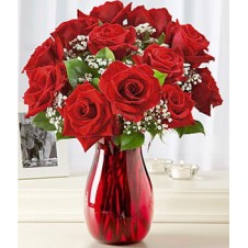 One dozen Red Holland Roses w/ Baby's Breath in a Vase