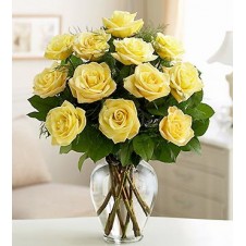 One dozen Yellow Holland Roses in a Vase