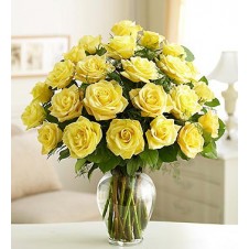 Two dozen Yellow Holland Roses in a Vase
