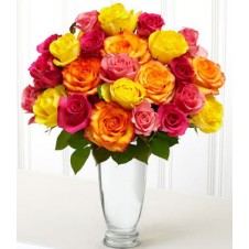 Two dozen Holland Roses in a Vase