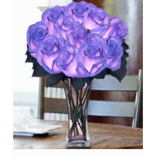 12 pcs. Imported Holland Blue Roses 2 in a Vase