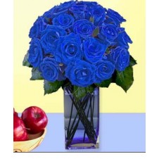 24 pcs. Imported Holland Blue Roses* in a Vase