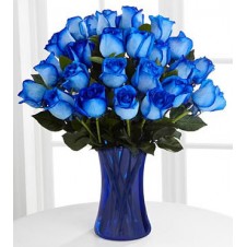 Three Dozen Blue Holland Roses in a Vase