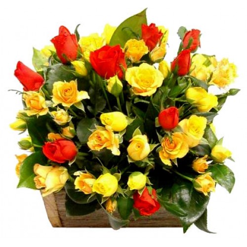 2 dozen Yellow Roses & 1 dozen Roses in a Basket