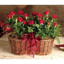 Enjoy the Rose Basket