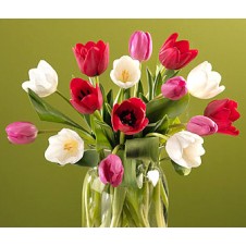 Celebrate the Season with Beautiful 10 Tulips