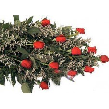 One dozen Red Wrapped Roses with Added Baby's Breath