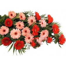 Pretty Pink and Red Gerbera Daisies in a Bouquet