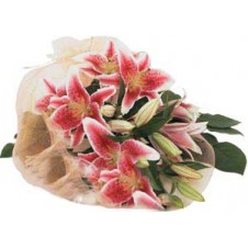 Gorgeous Wrapped Bouquet of Stargazer Lilies