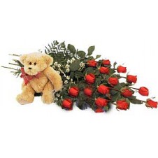 Red Roses in a Bouquet  with a Teddy Bear