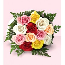 One Dozen Multi Colored Roses in a Bouquet with Filler