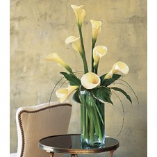 8 pcs Calla Lilies in a Vase