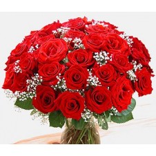 Two dozen Red Roses in a Vase with Baby's Breath