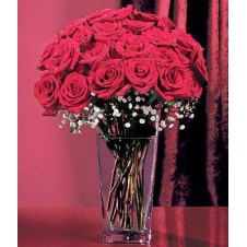 Two dozen Red Roses in a Vase
