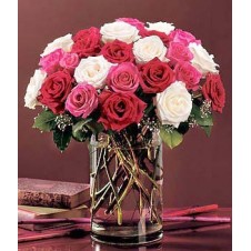 Two dozen of red, white & pink roses in a vase