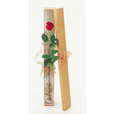 A Simple and Elegant Red Roses in a Box