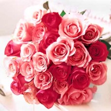 2 dozen Red & Pink Roses Mix in a Buoquet