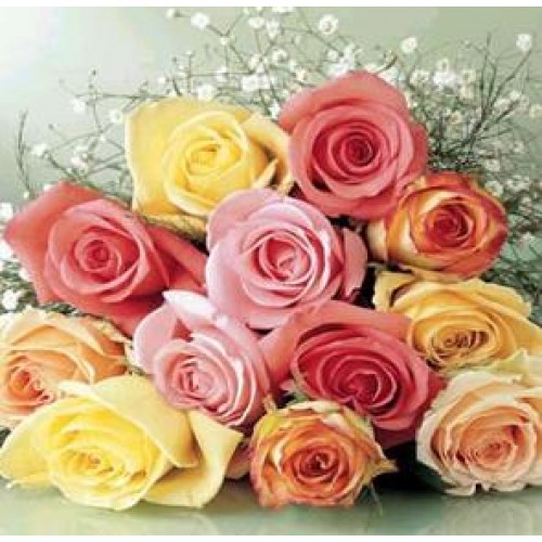 1 dozen Multicolor Roses in a Bouquet