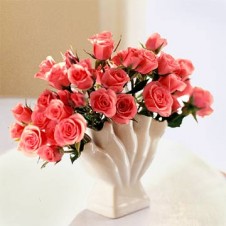 2 dozen Peach Roses in a Vase