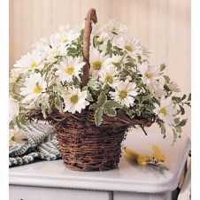 White Daisies Basket