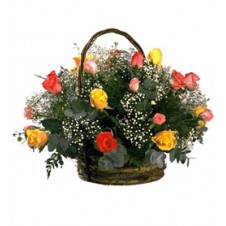 2 dozen Multicolored Roses with Baby's Breath in a Basket