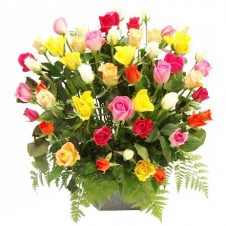 4 dozen Multicolored Roses in a Basket