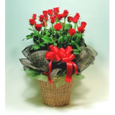 2 dozen Red Roses  in a Basket