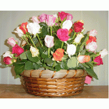 3 Dozen Multicolored Roses in a Basket