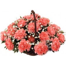 1 dozen Carnations in a Basket