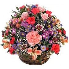 Rounded arrangement in a Basket 1