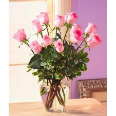 One dozen Pink Roses in a Vase