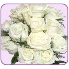 One dozen White Roses in a Bouquet 1