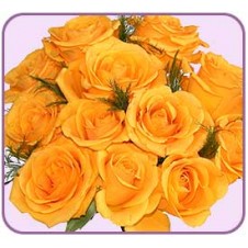 1 dozen Yellow Roses in Bouquet