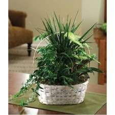 Luscious Green Garden Basket
