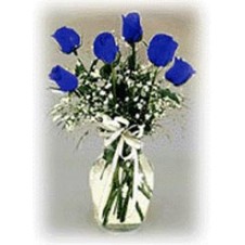 1 Dozen Blue Roses in a Vase