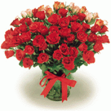 5 Dozen Red Roses in a Box