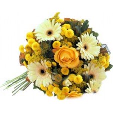 Shades of Yellow
