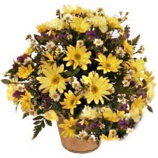 Yellow Daisies and Carnations in a Basket