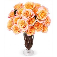 1 Dozen Orange Roses