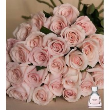 2 dozen Peach Roses in a Bouquet*