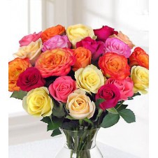 2 dozen Multicolored Roses in a Vase