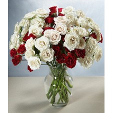 Red and White Roses in a Vase