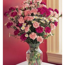Pink and Red Carnations in a Vase