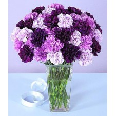 Purple Carnations in a Vase