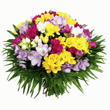 Mixed Cut Flowers