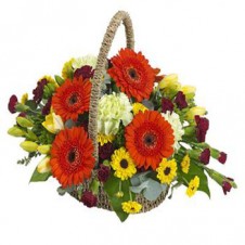 Pretty Basket of Mixed Flowers