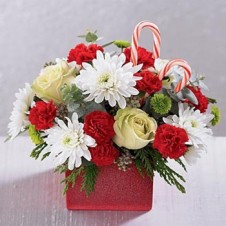 Fashionable Red and White Flowers