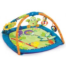 Bright Starts Bouncer and Play Mat Backyard Play Gym