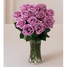 1 Dozen Imported Holland Purple Roses* in a Vase